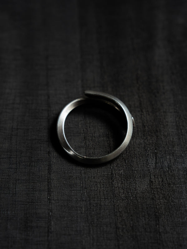 TWIST Key Ring