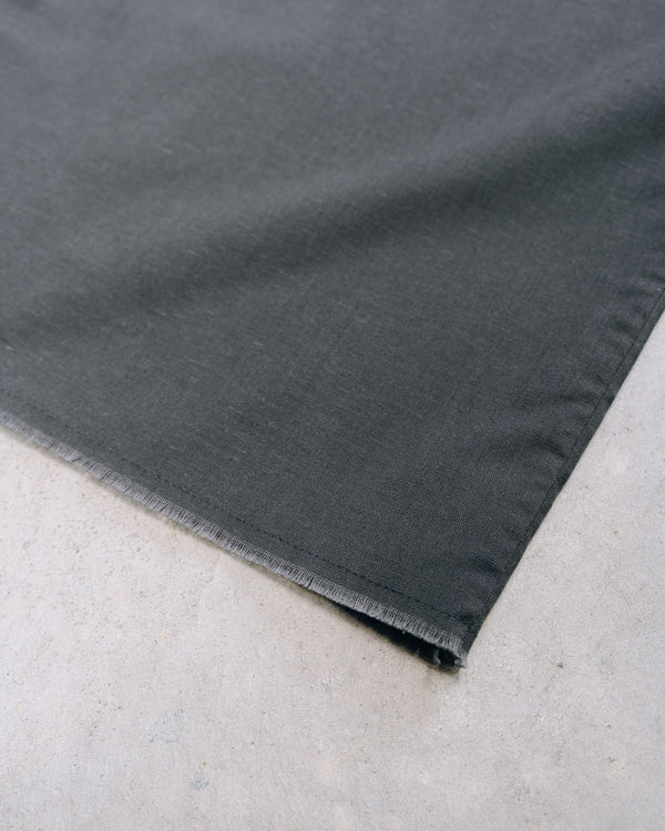 DarkGray Frayed Edge Linen Shirt [for setup]