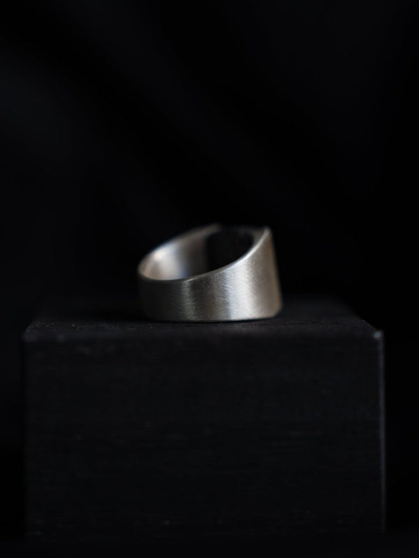 Monolith Ring【BLUE TIGER EYE】 - PRY