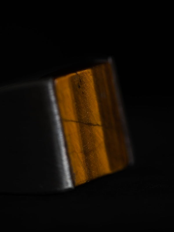 Monolith Ring【TIGER EYE】 - PRY