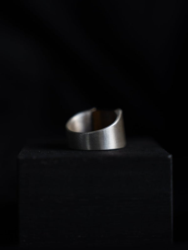 Monolith Ring【TIGER EYE】 - PRY