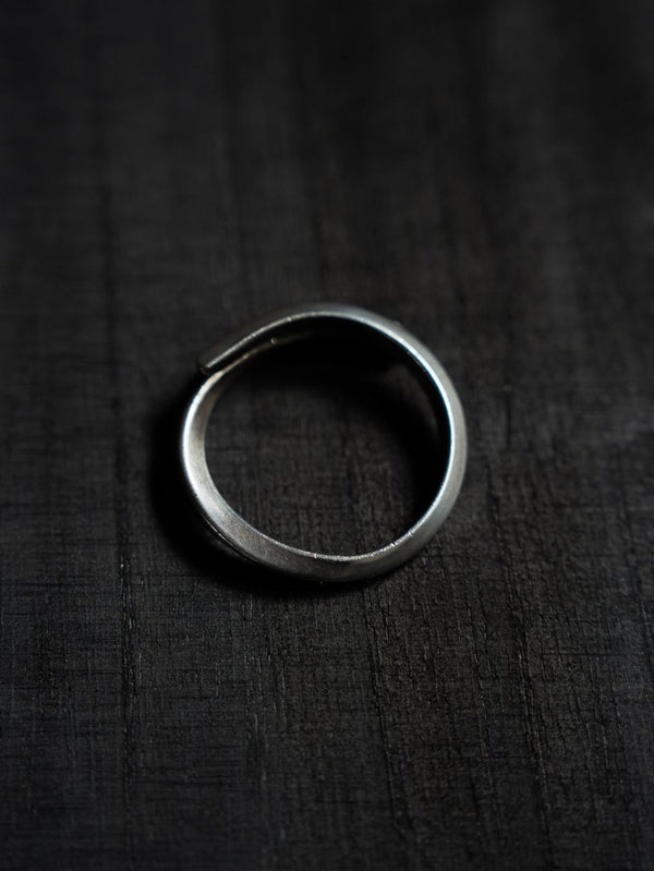 TWIST Key Ring - PRY