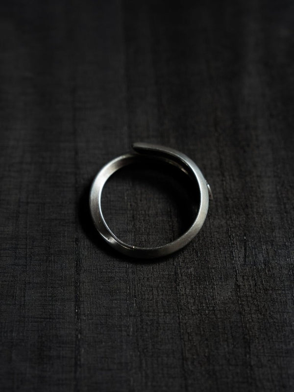 TWIST Key Ring - PRY